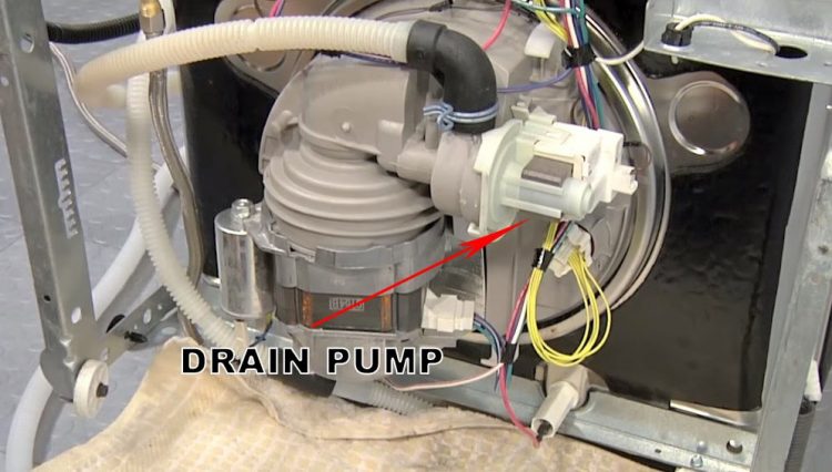 The location of the pump in the dishwasher Electrolux